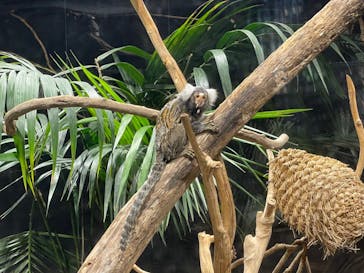 カワスイ 川崎⽔族館に投稿された画像（2021/12/17）