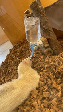 Moff animal cafe MARKIS 福岡ももち店に投稿された画像（2021/12/17）