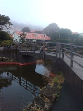 伊豆シャボテン動物公園に投稿された画像（2021/12/17）