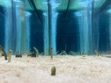 すみだ水族館に投稿された画像（2021/12/17）