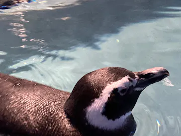すみだ水族館に投稿された画像（2021/12/17）