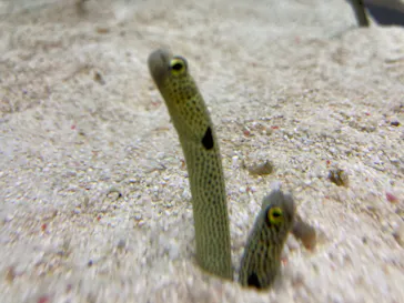 すみだ水族館に投稿された画像（2021/12/17）