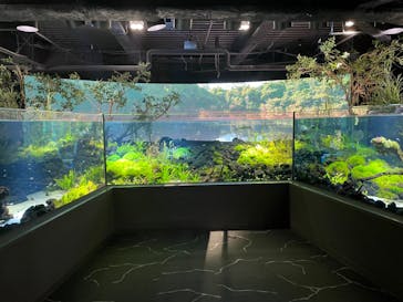 カワスイ 川崎⽔族館に投稿された画像（2021/12/17）