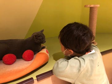 Moff animal world MARK IS みなとみらい店に投稿された画像（2021/12/17）