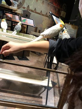 Moff animal world MARK IS みなとみらい店に投稿された画像（2021/12/17）