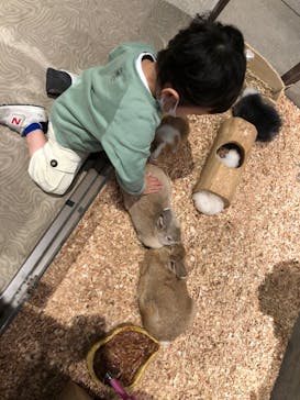 Moff animal world MARK IS みなとみらい店に投稿された画像（2021/12/17）