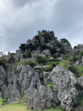 アスムイハイクスに投稿された画像（2021/12/17）