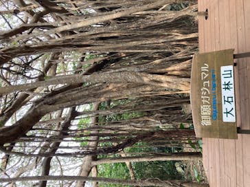 アスムイハイクスに投稿された画像（2021/12/17）