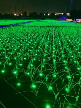 東京メガイルミに投稿された画像（2021/12/17）