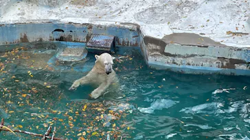 天王寺動物園に投稿された画像（2021/12/17）