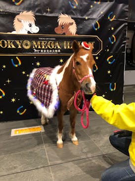 東京メガイルミに投稿された画像（2021/12/17）