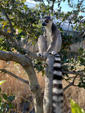 神戸どうぶつ王国に投稿された画像（2021/12/17）