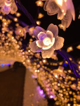 東京メガイルミに投稿された画像（2021/12/17）