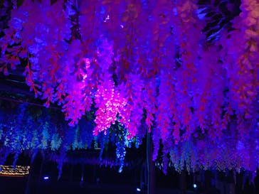 東京メガイルミに投稿された画像（2021/12/17）