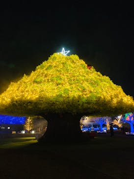 東京メガイルミに投稿された画像（2021/12/17）