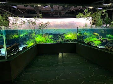 カワスイ 川崎⽔族館に投稿された画像（2021/12/17）