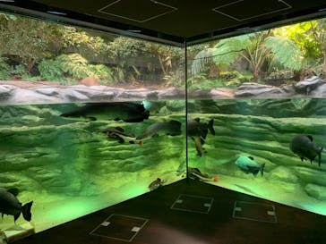 カワスイ 川崎⽔族館に投稿された画像（2021/12/17）