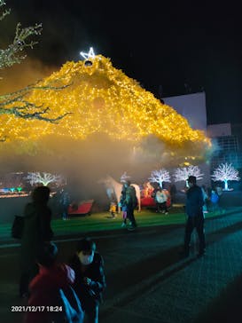 東京メガイルミに投稿された画像（2021/12/17）