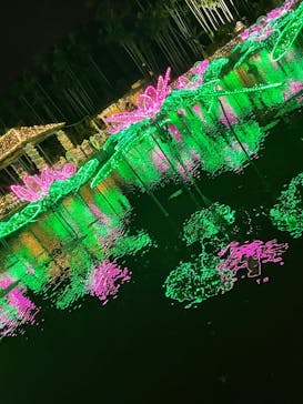 美らヤシパークオキナワ・東南植物楽園に投稿された画像（2021/12/17）