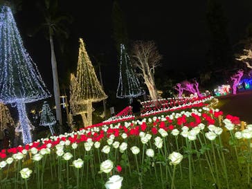 美らヤシパークオキナワ・東南植物楽園に投稿された画像（2021/12/17）