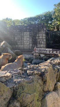 伊豆シャボテン動物公園に投稿された画像（2021/12/17）