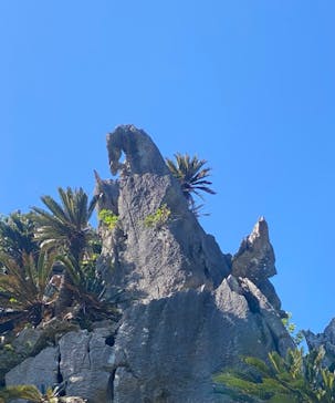 アスムイハイクスに投稿された画像（2021/12/17）