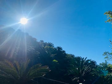 アスムイハイクスに投稿された画像（2021/12/17）