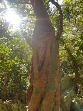 アスムイハイクスに投稿された画像（2021/12/17）