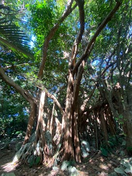 アスムイハイクスに投稿された画像（2021/12/17）