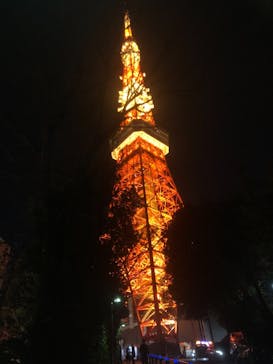 東京メガイルミに投稿された画像（2021/12/17）