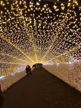東京メガイルミに投稿された画像（2021/12/17）