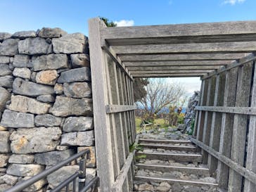 今帰仁城跡に投稿された画像（2021/12/18）