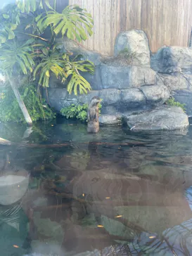 横浜・八景島シーパラダイスに投稿された画像（2021/12/18）