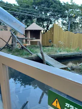 横浜・八景島シーパラダイスに投稿された画像（2021/12/18）