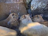 伊豆シャボテン動物公園に投稿された画像（2021/12/18）