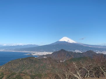 伊豆パノラマパークに投稿された画像（2021/12/18）