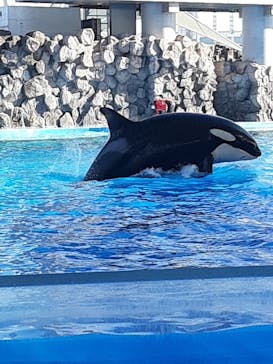 名古屋港水族館に投稿された画像（2021/12/18）