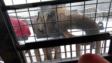 那須サファリパークに投稿された画像（2021/12/18）