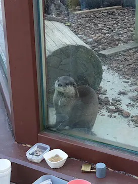 横浜・八景島シーパラダイスに投稿された画像（2021/12/18）