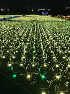 東京メガイルミに投稿された画像（2021/12/18）