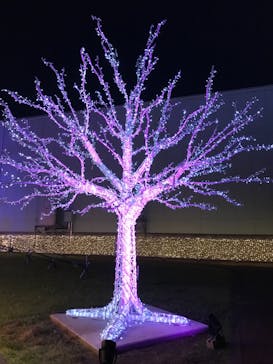 東京メガイルミに投稿された画像（2021/12/18）