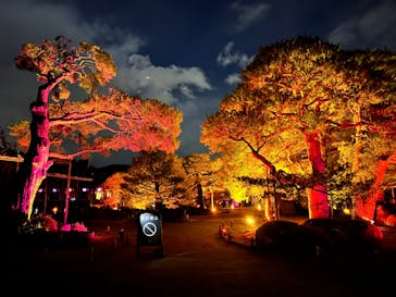 NAKED ヨルモウデ 平安神宮に投稿された画像（2021/12/18）