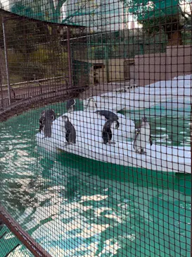 天王寺動物園に投稿された画像（2021/12/18）