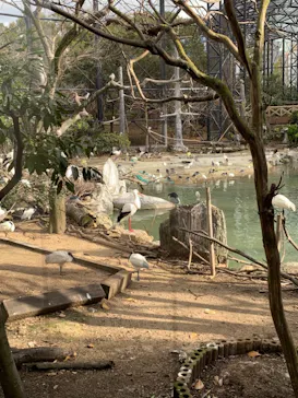 天王寺動物園に投稿された画像（2021/12/18）