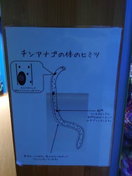 名古屋港水族館に投稿された画像（2021/12/18）