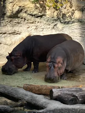 天王寺動物園に投稿された画像（2021/12/18）