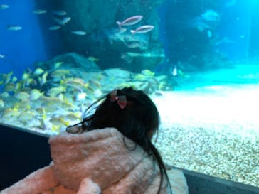 マクセル アクアパーク品川に投稿された画像（2021/12/18）