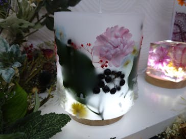 ずこうしつ〜sugamo〜に投稿された画像（2021/12/18）