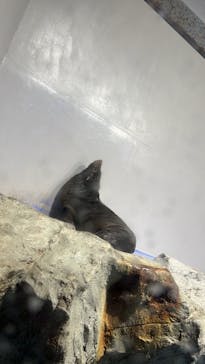 マクセル アクアパーク品川に投稿された画像（2021/12/18）