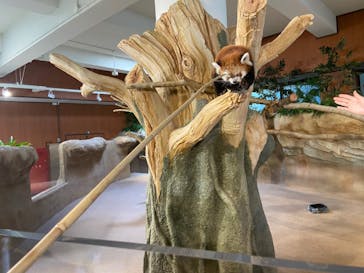 ネオパークオキナワに投稿された画像（2021/12/18）